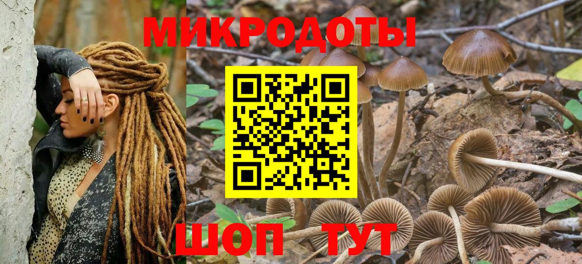 Тула  Галлюциногенные грибы мухоморы  Вход с VPN  что такое   Галлюциногенные грибы мицелий 