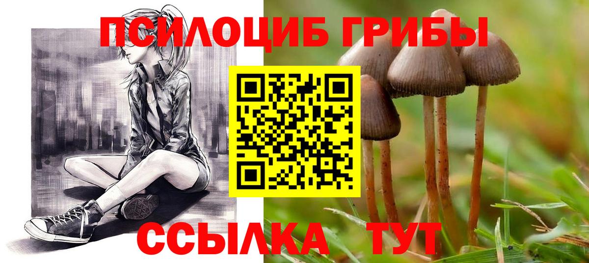 Псилоцибиновые грибы прущие грибы Тула