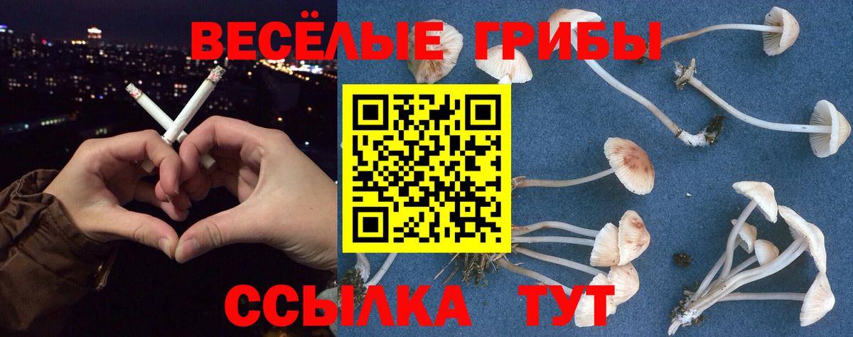 Псилоцибиновые грибы Тула
